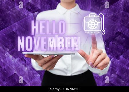 Hand schreiben Zeichen Hallo November, Internet-Konzept Willkommen den elften Monat des Jahres vor Dezember Lady in Uniform Holding Phone Virtual Stockfoto