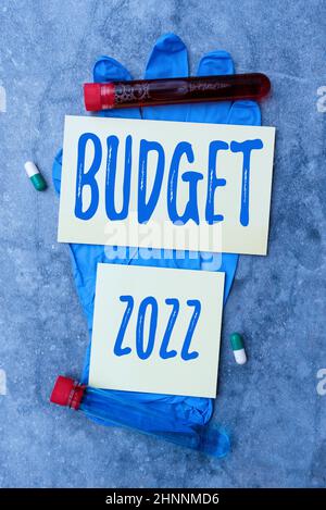 Handschrift Text Budget 2022, konzeptionelle Foto Schätzung der Einnahmen und Ausgaben für das laufende Jahr schreiben Rezept Medizin Labor-Tests und Stockfoto