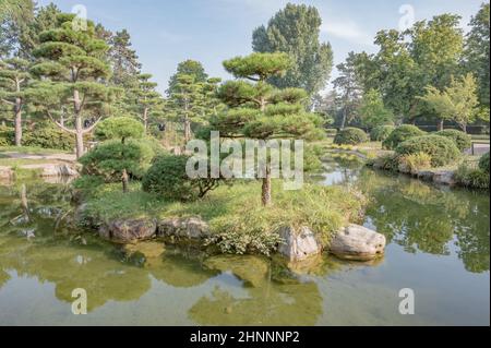 Im Düsseldorfer Nordpark gibt es ein Juwel: Den Japanischen Garten. Stockfoto