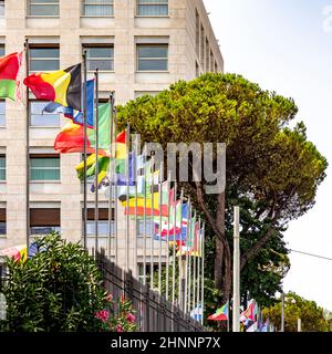 Flagge der Vereinten Nationen und teilnehmender Kampf mit dem UN-Gebäude in Rom Stockfoto