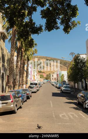 Straße mit Palmen Bunte Häuser Bo Kaap Bezirk Kapstadt. Stockfoto