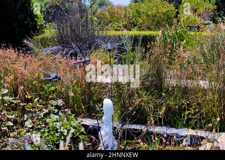 Dekoratives Insekt der Garten, Blumenbeet. Spinne, Libelle, Kakerlake, Gottesanbeterin. Stockfoto