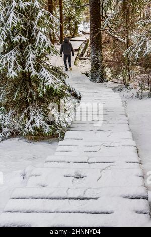 Wanderer auf dem Weg Wald schneite in der Landschaft Brocken Harz Deutschland Stockfoto