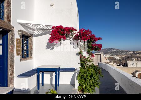 Rote Bougainvillea klettern an der Wand des weiß getünchten Hauses in Imerovigli auf der Insel Santorini, Kykladen, Griechenland Stockfoto