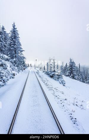 Brocken Bahn und schneite in Bäumen Landschaft Brocken Harz Deutschland Stockfoto