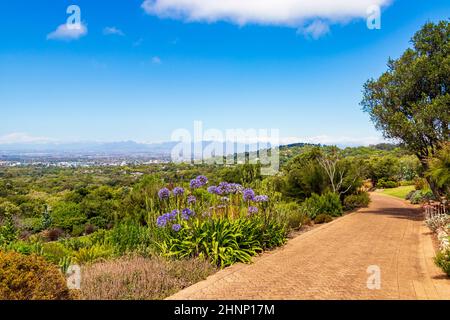 Panoramablick auf Kapstadt und Wanderweg Kirstenbosch. Stockfoto