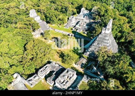 Tikal Main plaza, Guatemala Stockfoto