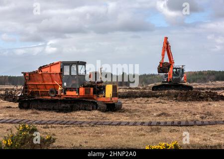 Trichter und Bagger. Grasbrocken werden in den Zufuhrbehälter der Trichtermaschine gelegt. Es breitet sich dann auf dem Boden aus, ordentlich, sauer Reihen. Stockfoto