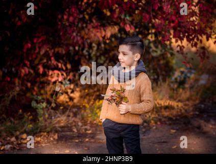 Hübscher stilvoller Junge, der im Herbstpark steht. Stil, Mode. Stockfoto