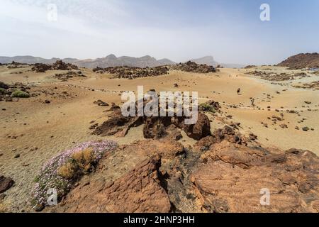 Wüstenlandschaft von Las Canadas Caldera des Teide Vulkans. Mirador (Aussichtspunkt) Minas de San Jose Sur. Teneriffa. Kanarische Inseln. Spanien. Stockfoto