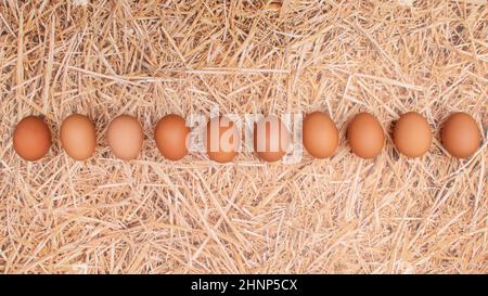 Frische natürliche Eier auf Strohgrund. Realistische Szene. Konzept der Osterferien Stockfoto