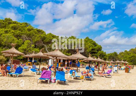 Liegestühle Sonnenschirme am Strand Cala Samarador Amarador Mallorca Spanien. Stockfoto