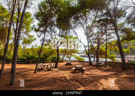 Natürlicher Wanderweg im Wald Parc natural de Mondragó Mallorca. Stockfoto