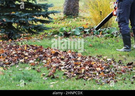 Arbeiter Reinigung fallende Blätter im Herbst Park. Mann, der Laubgebläse zum Reinigen der Herbstblätter verwendet. Herbstsaison. Parkreinigungsservice. Stockfoto