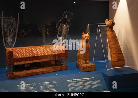 TURIN, ITALIEN - 19. AUGUST 2021: Katzenmumie. Mumifizierung der Katze während der ägyptischen Zivilisation, Ägyptisches Museum von Turin, Italien Stockfoto