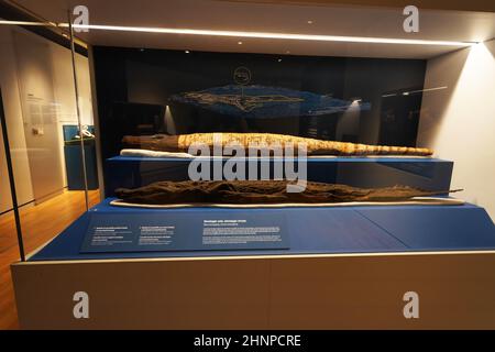 TURIN, ITALIEN - 19. AUGUST 2021: Krokodilmumie. Mumifizierung des Krokodils während der ägyptischen Zivilisation, Ägyptisches Museum von Turin, Italien Stockfoto