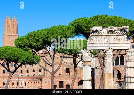 Forum of Caesar, Teil des Forum Romanum, Ansicht der Ruinen des Tempels der Venus Genetrix, Rom, Italien Stockfoto