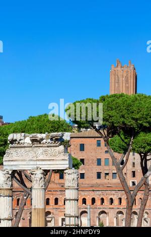 Forum of Caesar, Teil des Forum Romanum, Ansicht der Ruinen des Tempels der Venus Genetrix, Rom, Italien Stockfoto