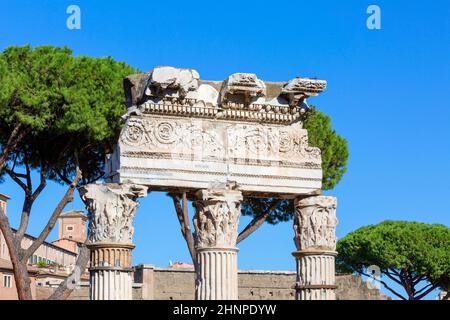 Forum of Caesar, Teil des Forum Romanum, Ansicht der Ruinen des Tempels der Venus Genetrix, Rom, Italien Stockfoto