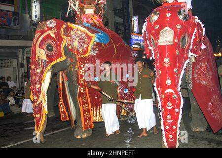 Elefantenritter nehmen am Pera Hera Festival in Kandy Teil Stockfoto