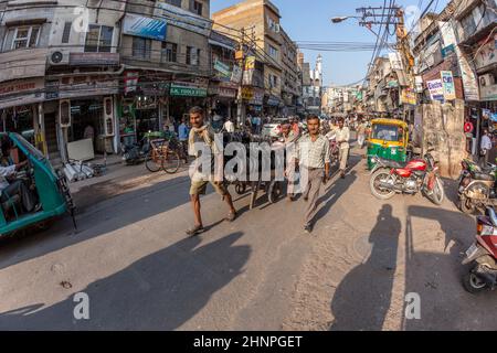 Der Mensch trägt schwere Ladung mit seinem Holzkarren im alten Delhi Stockfoto