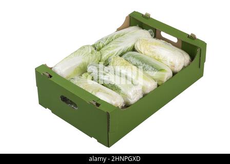 Schachtel mit frischem Chinakohl, isoliert auf weißem Hintergrund Stockfoto