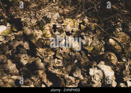 Kleine Steintürmchen im Wald. Steinskulpturen im Hintergrund Stockfoto