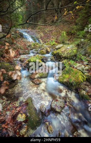 Wasserfall in einem Wald des Nationalparks Mala Fatra, nicht weit vom Dorf Terchova in der Slowakei, Europa. Stockfoto
