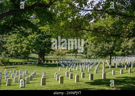 Grabsteine auf dem Nationalfriedhof von Arlington Stockfoto