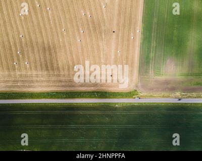 Landwirtschaftliche Felder im ländlichen Raum Stockfoto