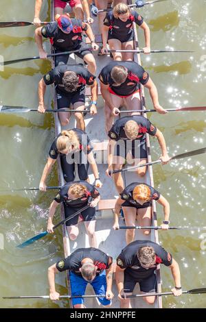 Das berühmte Drachenboot-Rennen findet am Fluss Saar statt Stockfoto