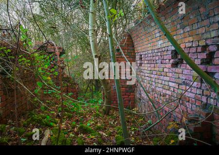 Ruine eines seit langem verlassenen „Pulverhauses“ (Sprengstofflager) in der Nähe einer alten Kolonie mit charakteristischen geschwungenen Wänden, um einen Sprengsatz zu minimieren. Stockfoto