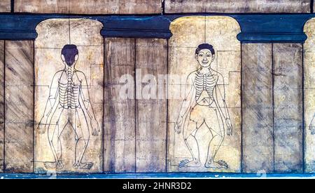 Medizin Illustration Wandbild in Wat Po, Bangkok Stockfoto