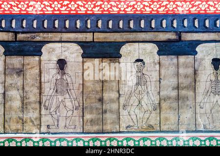 Medizin Illustration Wandbild in Wat Po, Bangkok Stockfoto