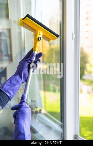 Hausreinigung und Reinigungskonzept. Ein junges Mädchen in lila Handschuhen mit einem gelben Wischmopp in den Händen wäscht das Fenster Stockfoto