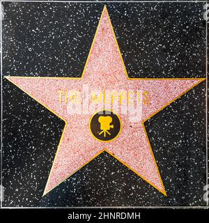 Die Muppets sind auf dem Hollywood Walk of Fame zu sehen Stockfoto