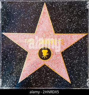 Die Muppets sind auf dem Hollywood Walk of Fame zu sehen Stockfoto