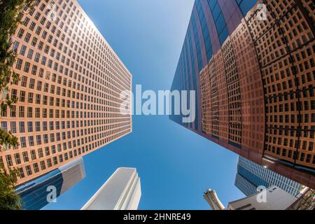 Blick auf den Wolkenkratzer in der Innenstadt von Los Angeles Stockfoto