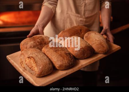 Brot auf dem Tablett in der Bäckerei Stockfoto