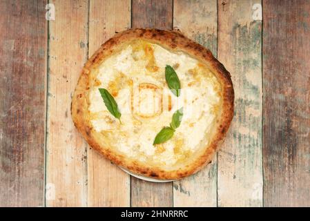 Margarita Pizza mit Gratin Ziegenkäse und Basilikumblättern von oben gesehen Stockfoto