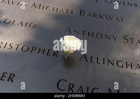 Single Rose, die am 9/11 Denkmal in New York City von jemandem mit Namen hinterlassen wird, um zu zeigen, dass heute der Geburtstag des Opfers gefeiert wird Stockfoto