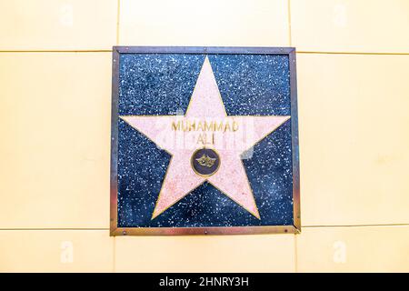 Nahaufnahme von Star auf dem Hollywood Walk of Fame für Muhammad Ali Stockfoto