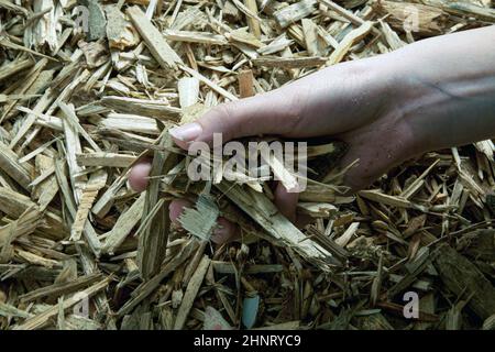 Holzspäne, um Wärme zu erzeugen Stockfoto