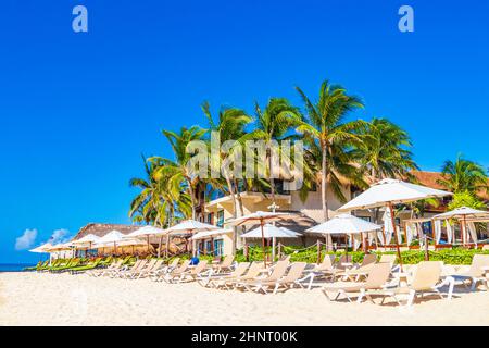 Palmen Sonnenschirme Liegestühle Beach Resort Playa del Carmen Mexiko. Stockfoto