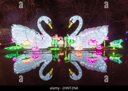 CHINA LIGHT-FESTIVAL im Kölner Zoo mit vielen Tieren aus Glühbirnen und chinesischen Lichttechniken. Stockfoto