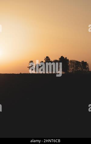 Silhouette der Bäume bei Sonnenuntergang, Sonne hinter dem Wald, Abendlandschaft Stockfoto