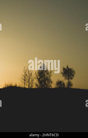 Silhouette der Bäume bei Sonnenuntergang, Sonne hinter dem Wald, Abendlandschaft Stockfoto
