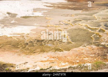 Details der Felsformationen in den Mammoth Hot Springs im Yellowstone National Park, Wyoming, USA Stockfoto