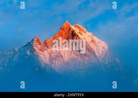 Sternenhimmel über Machhepuchare und Annapurna Base Camp - Nepal, Himalaya Stockfoto