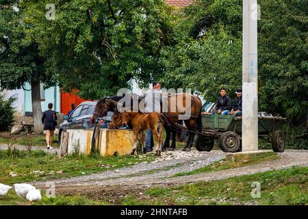 Die Dorfhäuser von Viscri in Rumänien Stockfoto